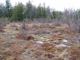 community photo